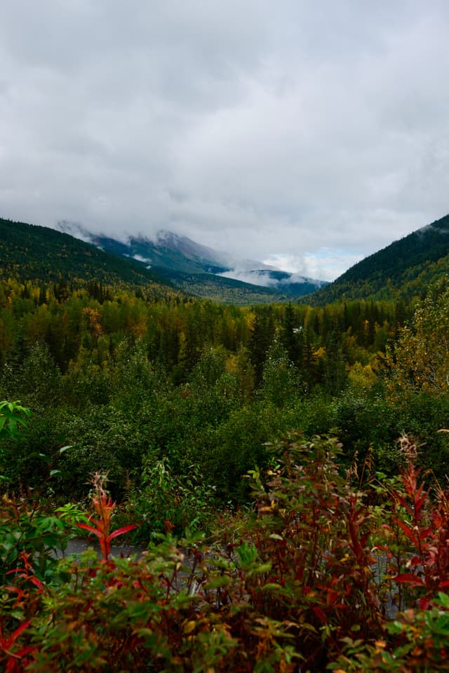 Majestic Mountain View