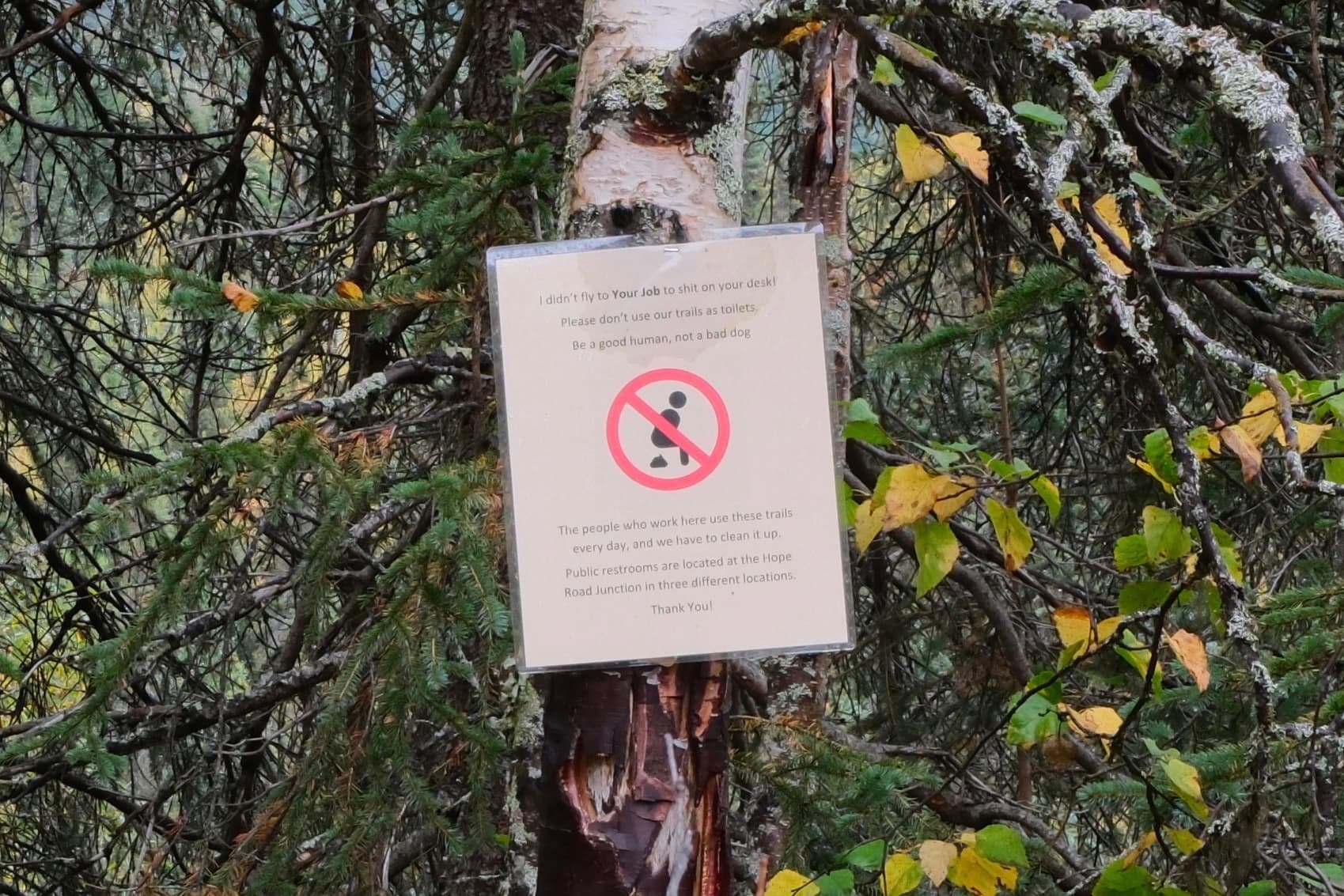 No Drone Zone