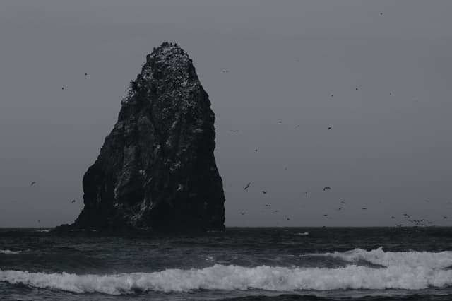 Solitary Sea Sentinel